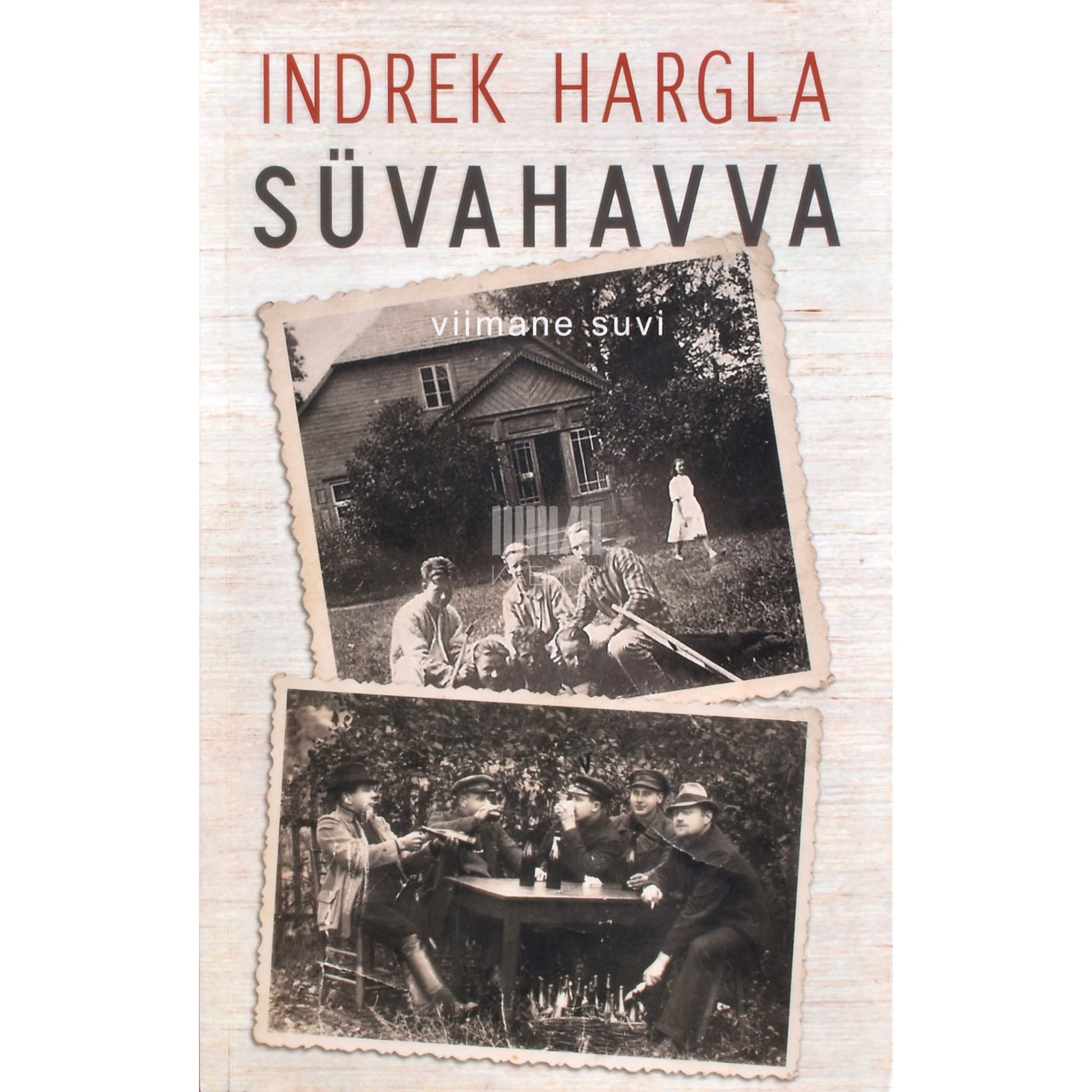 Indrek Hargla. Süvahavva. Viimane suvi