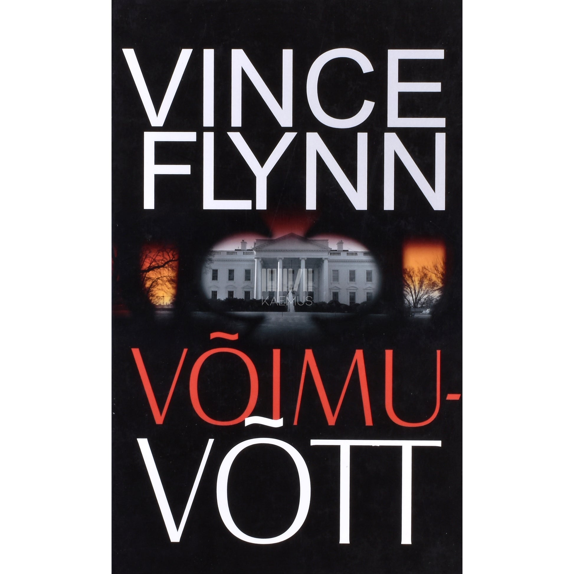 Vince Flynn. Võimuvõtt
