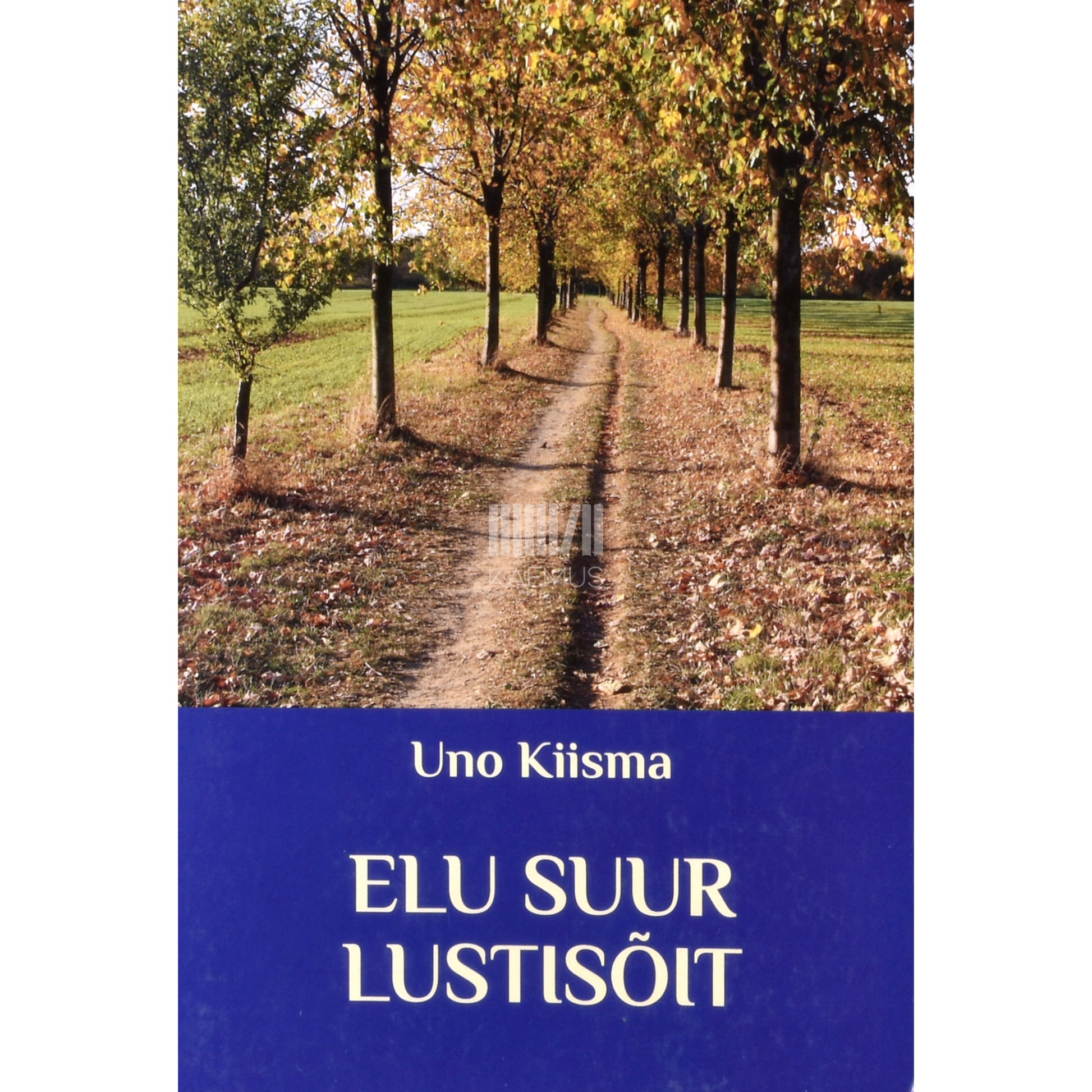 U. K. Kiesemann. Elu suur lustisõit