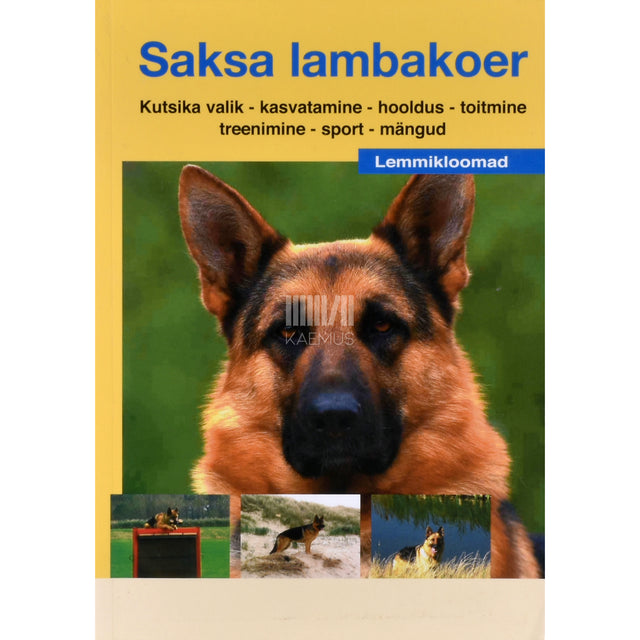 Saksa lambakoer