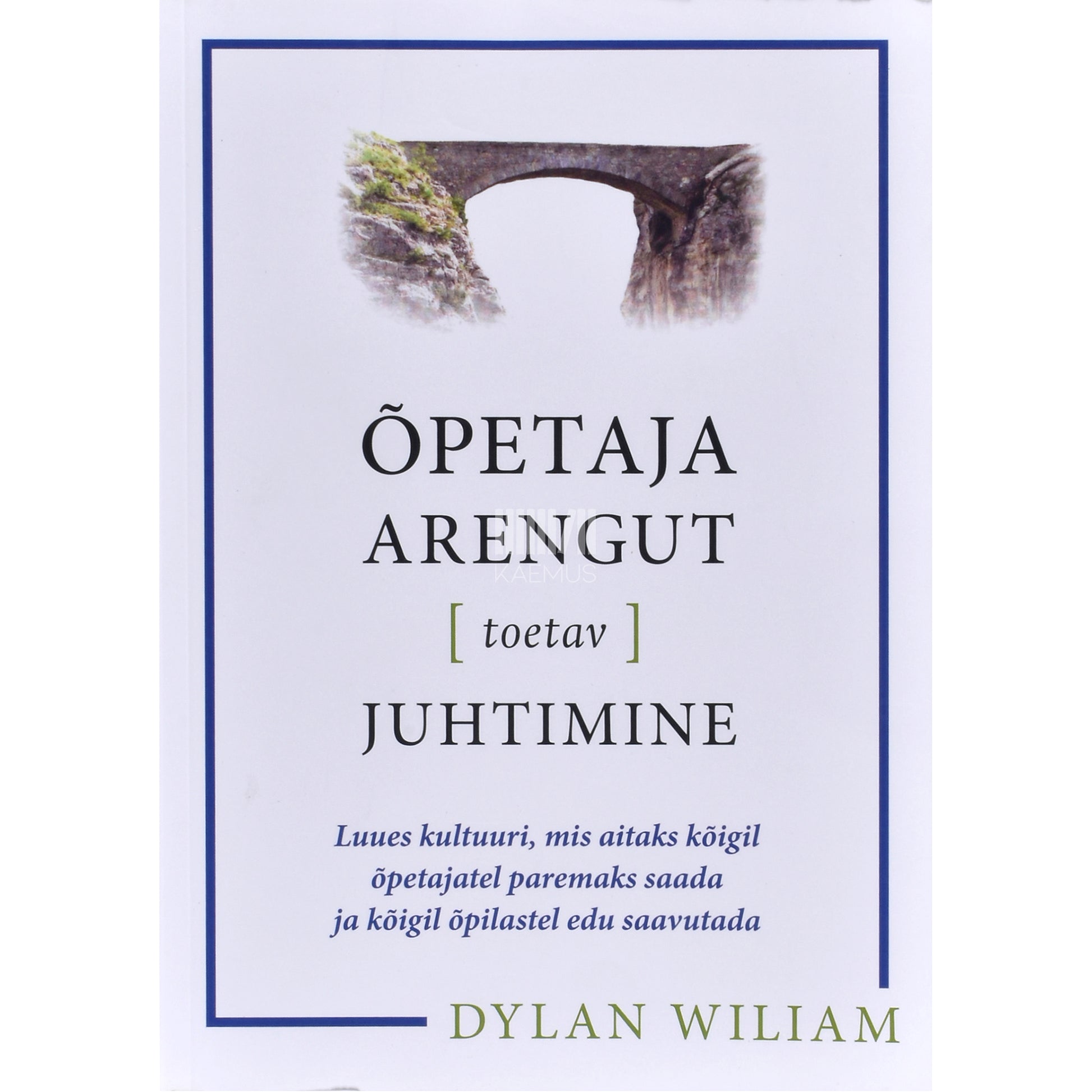 Dylan Wiliam. Õpetaja arengut [toetav] juhtimine
