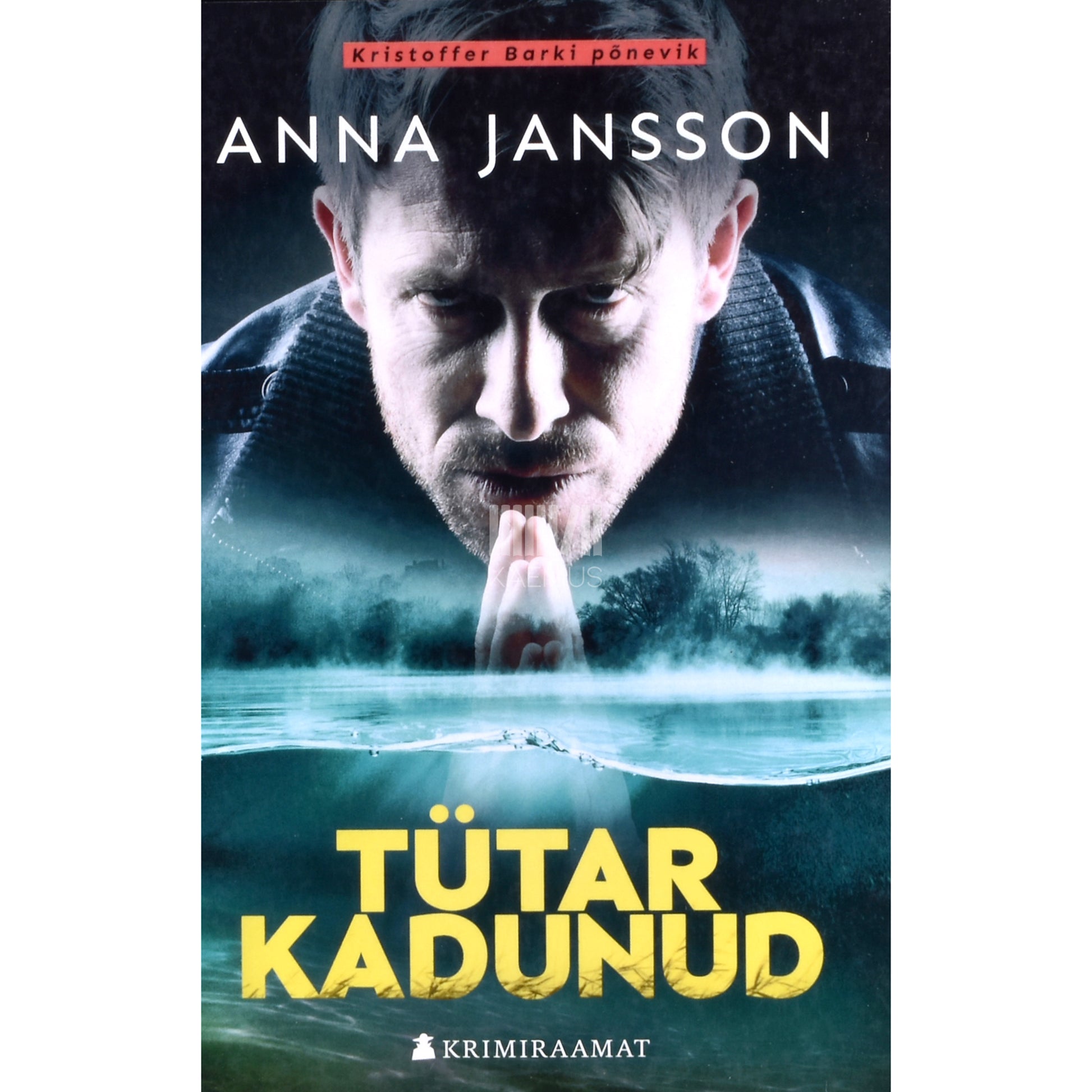 Anna Jansson. Tütar kadunud