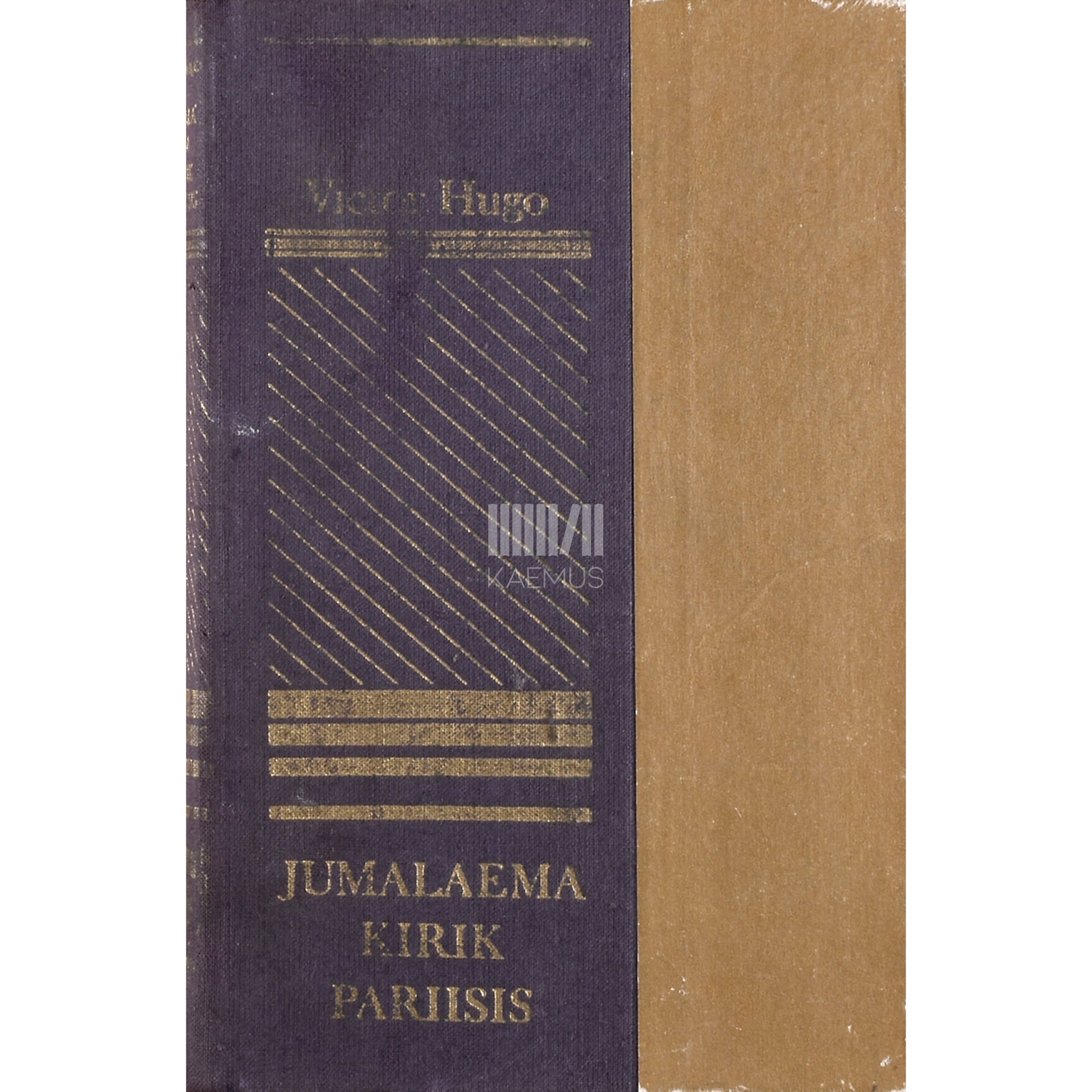 Victor Hugo. Jumalaema kirik Pariisis