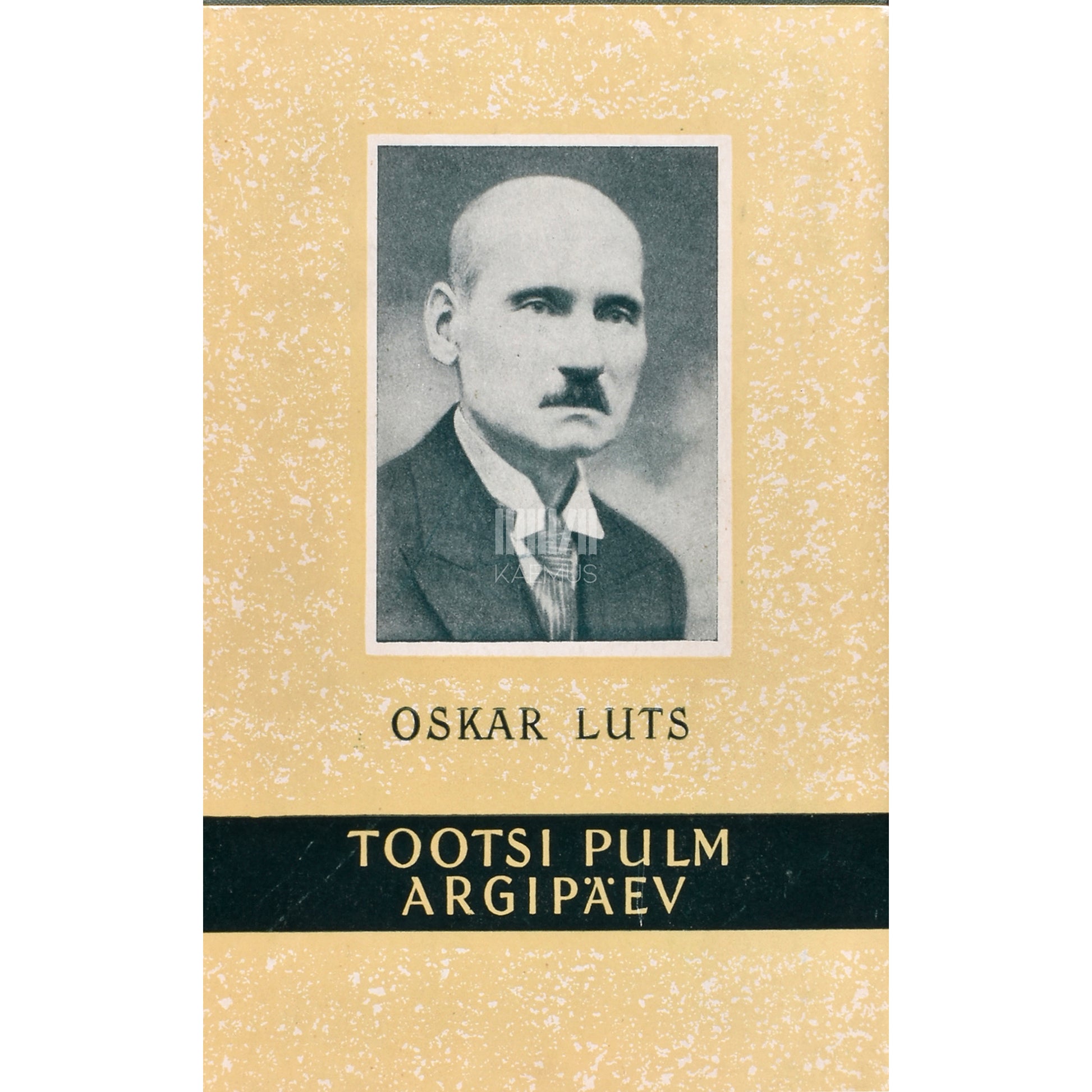 Oskar Luts. Tootsi pulm. Argipäev