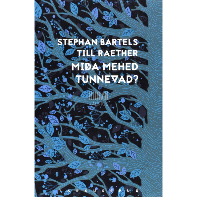 Stephen Bartels, Till Raether. Mida mehed tunnevad?