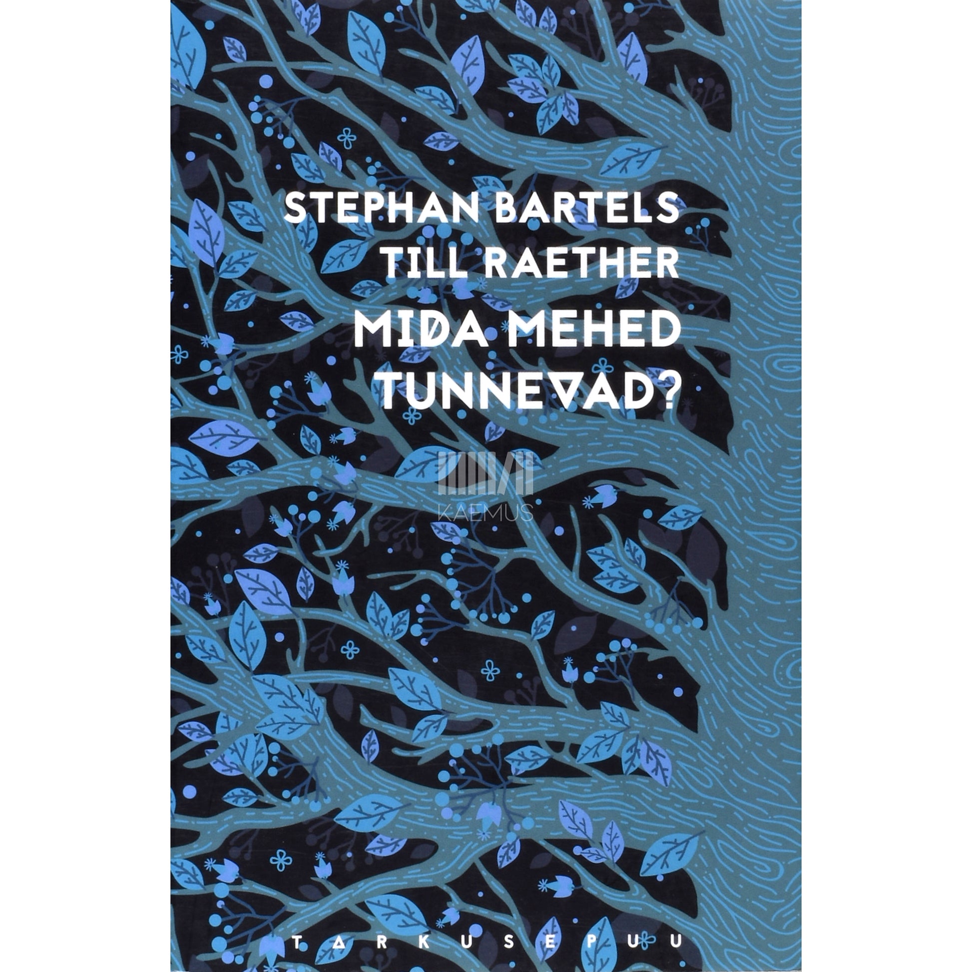 Stephen Bartels, Till Raether. Mida mehed tunnevad?