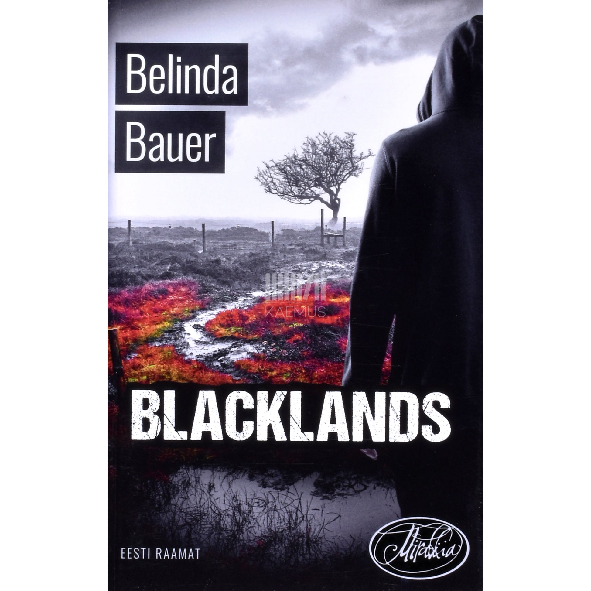 Belinda Bauer. Blacklands