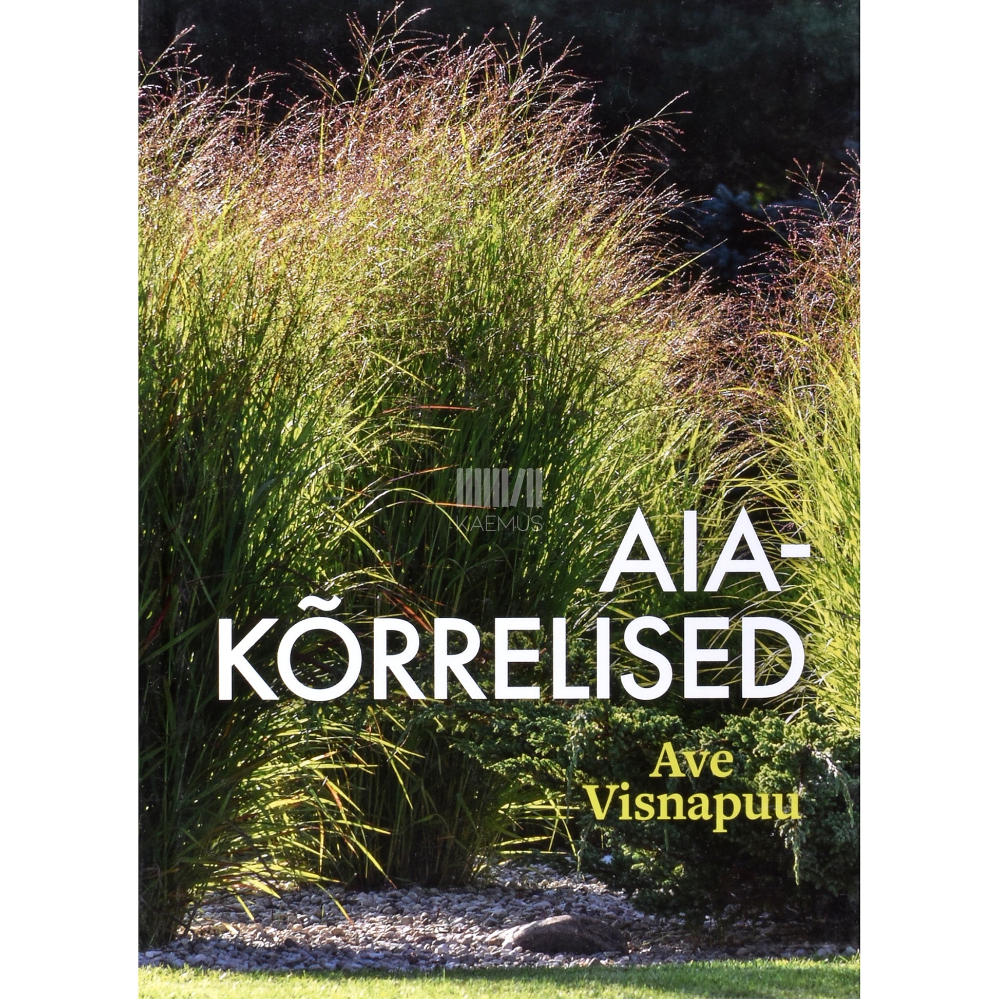 Aiakõrrelised