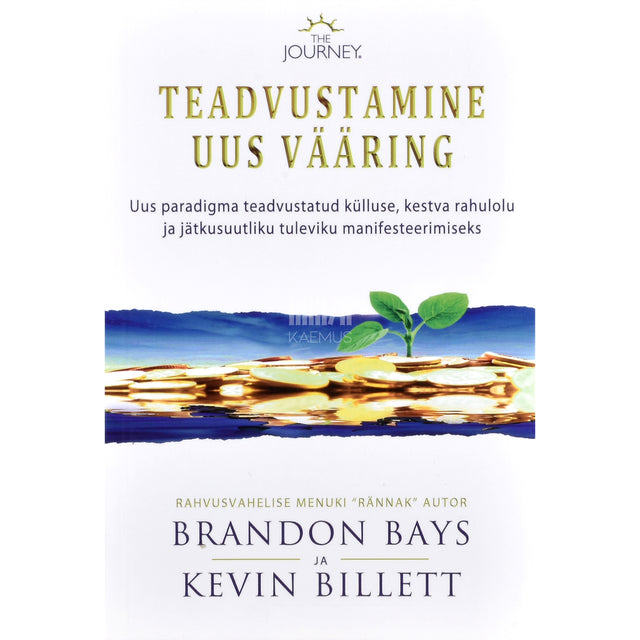 Brandon Bays. Teadvustamine