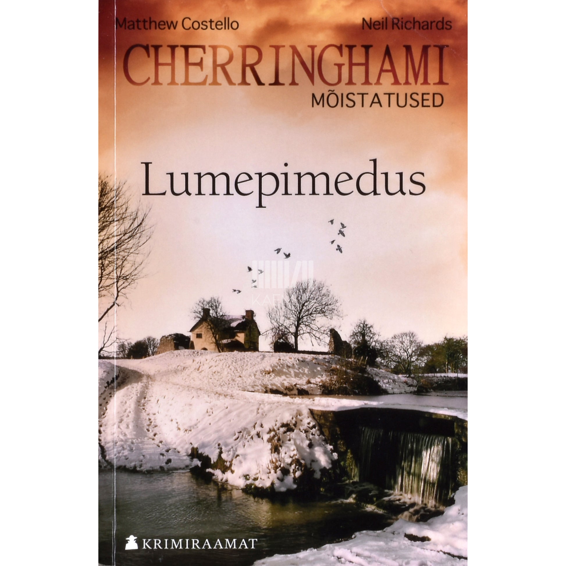 Matthew Costello &amp; Neil Richards. Lumepimedus