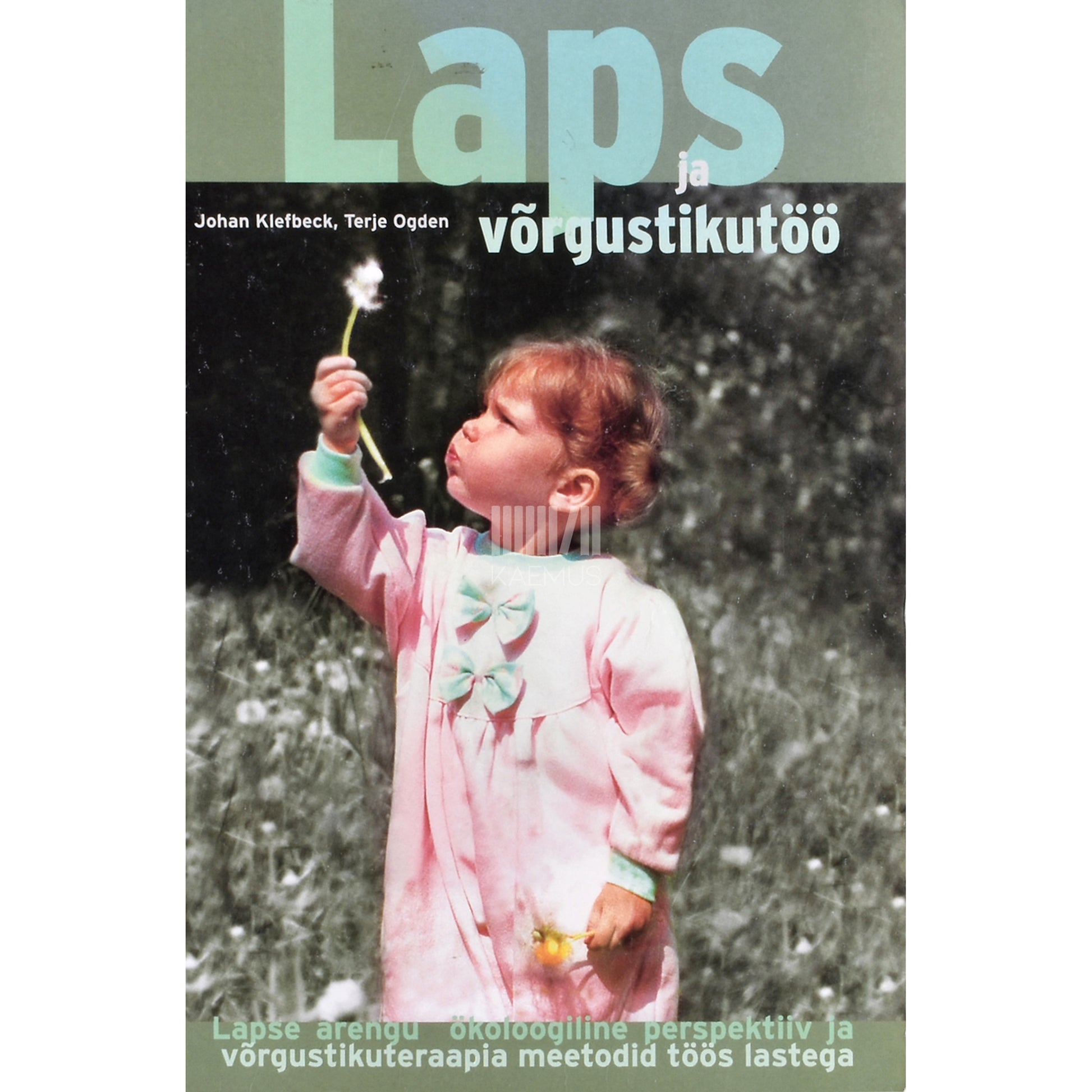 Johan Klefbeck, Terje Ogden. Laps ja võrgustikutöö