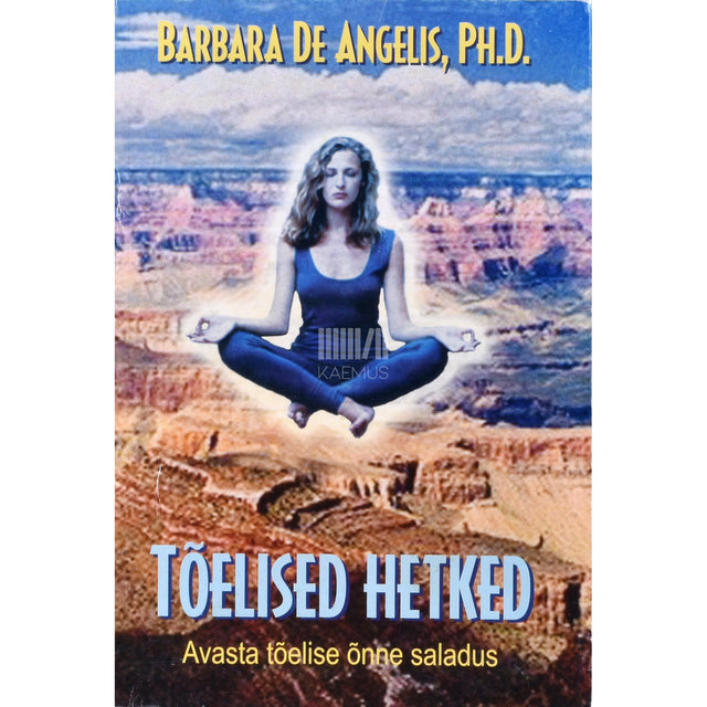Barbara De Angelis. Tõelised hetked