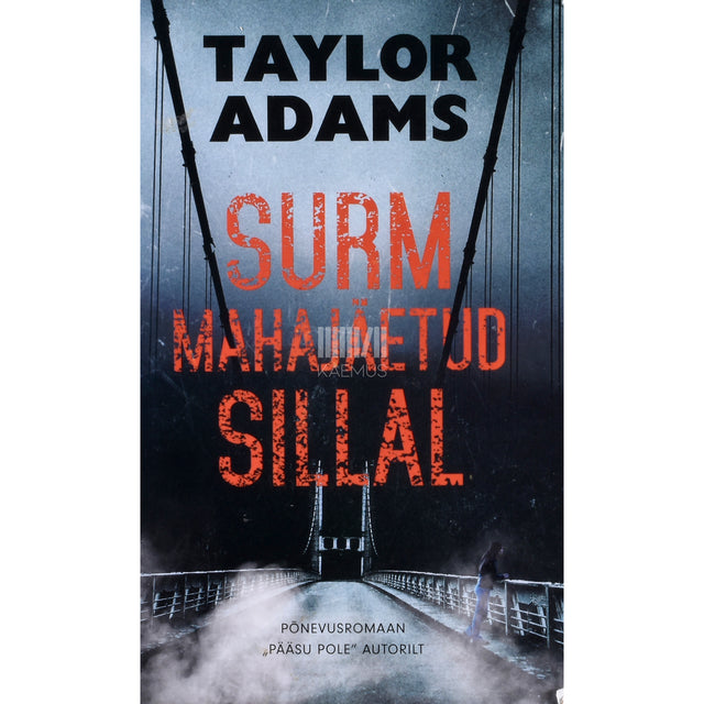 Taylor Adams. Surm mahajäetud sillal