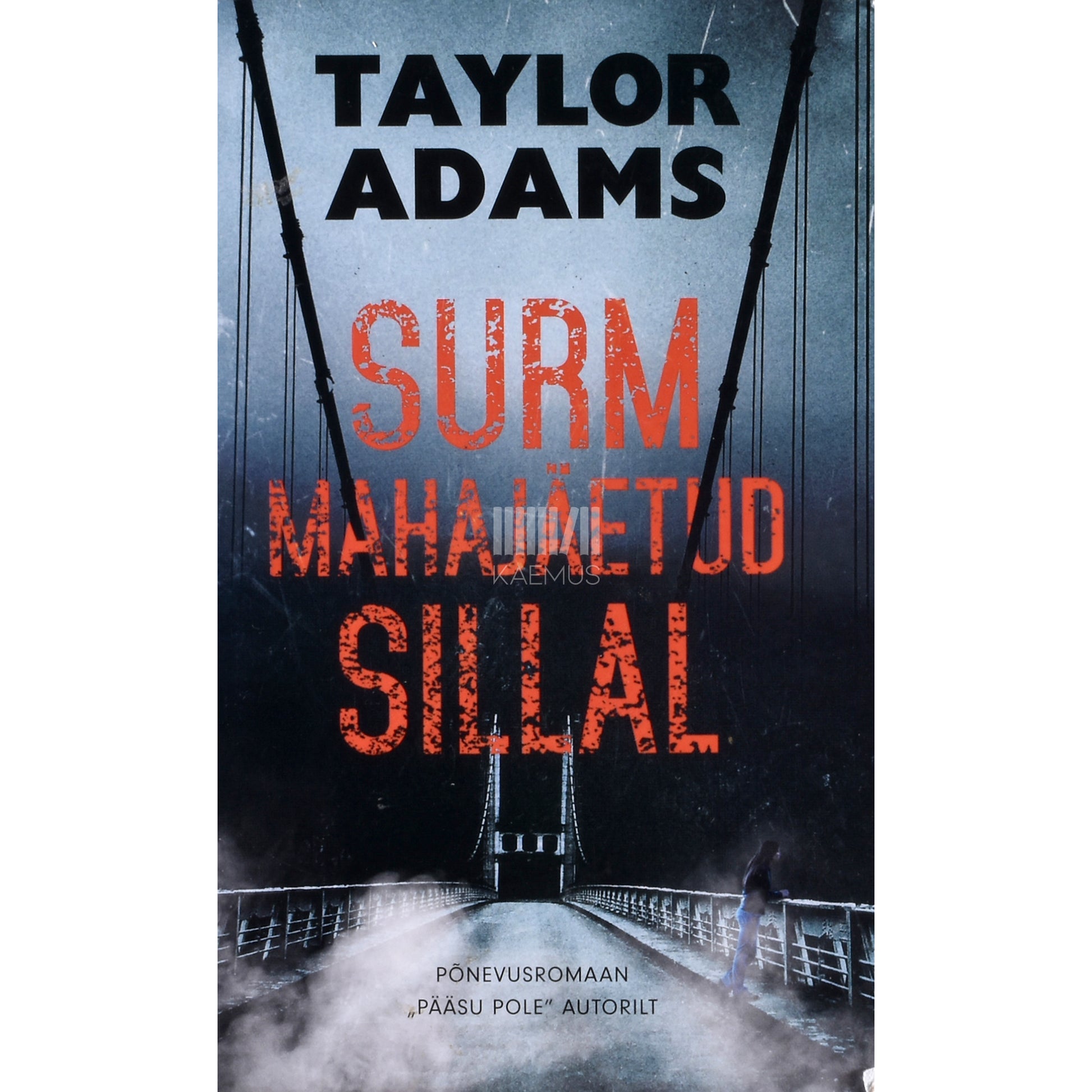 Taylor Adams. Surm mahajäetud sillal