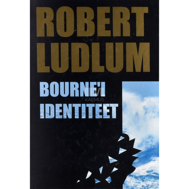 Robert Ludlum. Bourne'i identiteet