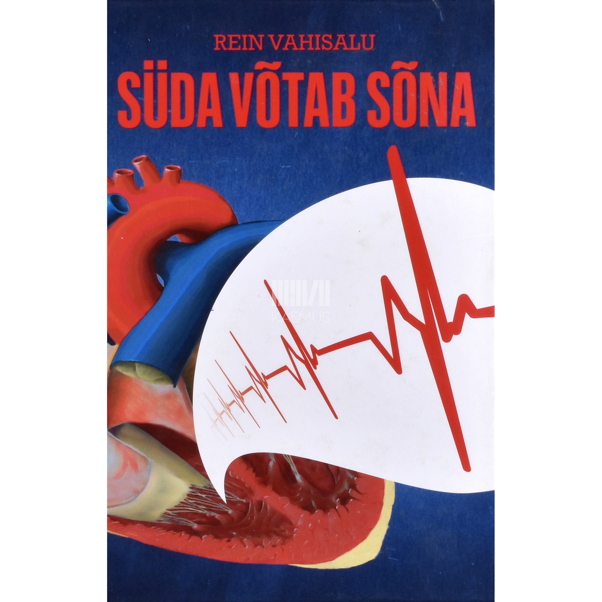 Rein Vahisalu. Süda võtab sõna