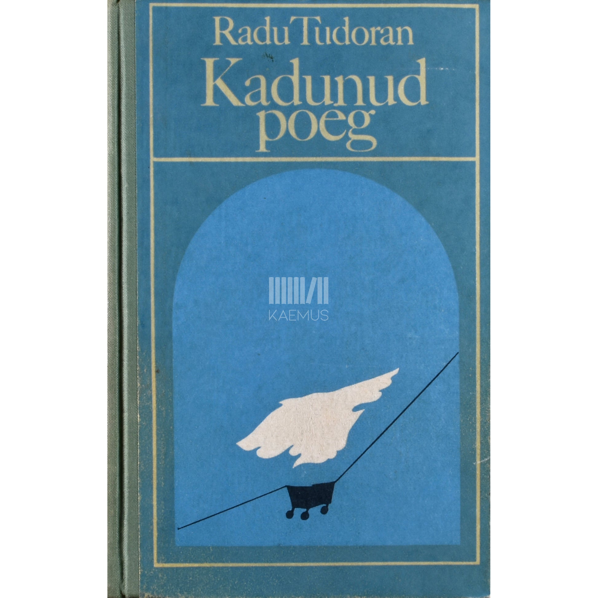 Radu Tudoran. Kadunud poeg