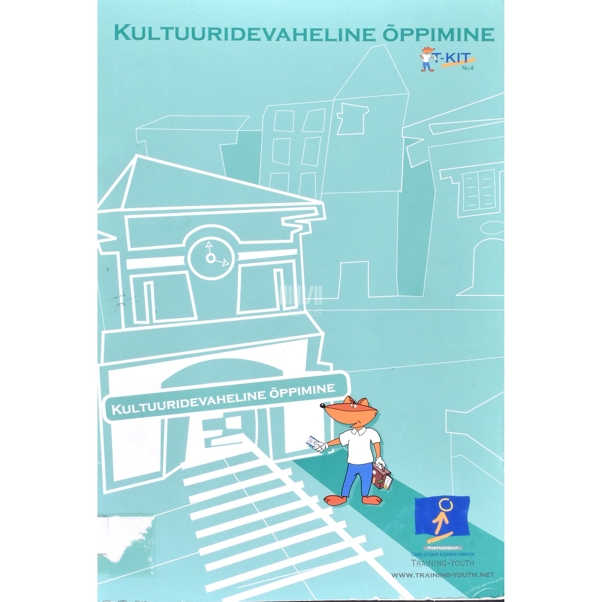 Kultuuridevaheline õppimine