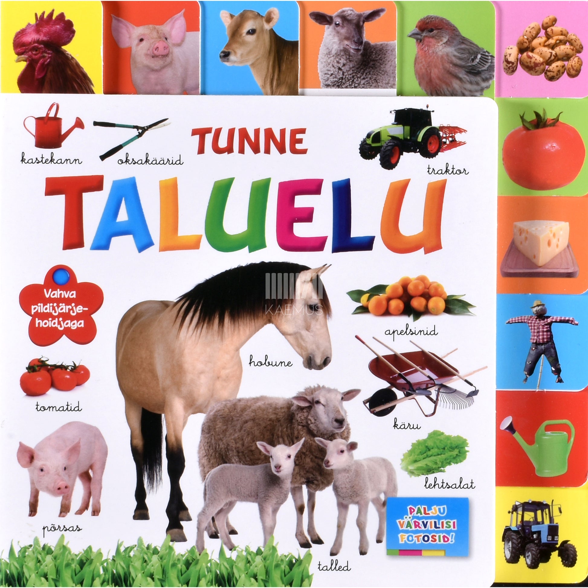 Tunne taluelu