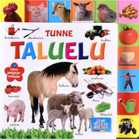 ... Tunne taluelu