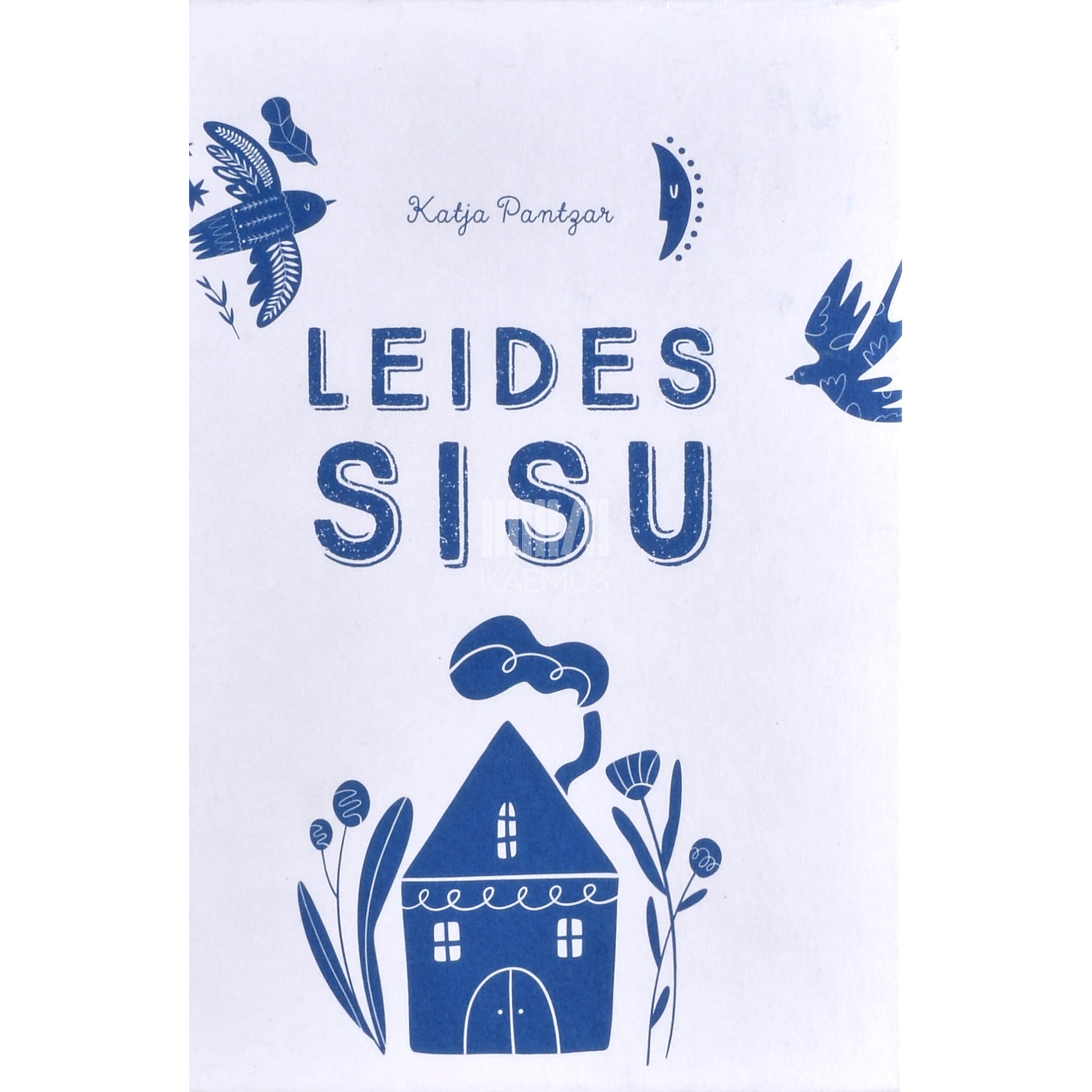Katja Pantzar. Leides sisu
