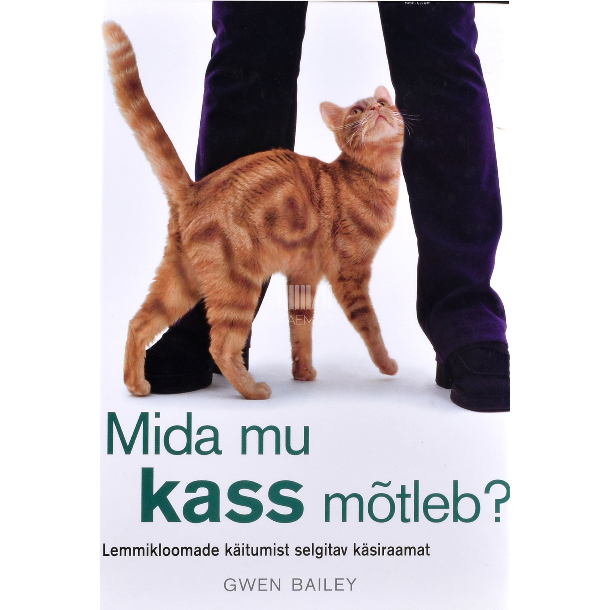 Gwen Bailey. Mida mu kass mõtleb?
