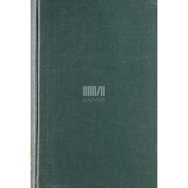 Arvo Mägi. Kiusaja