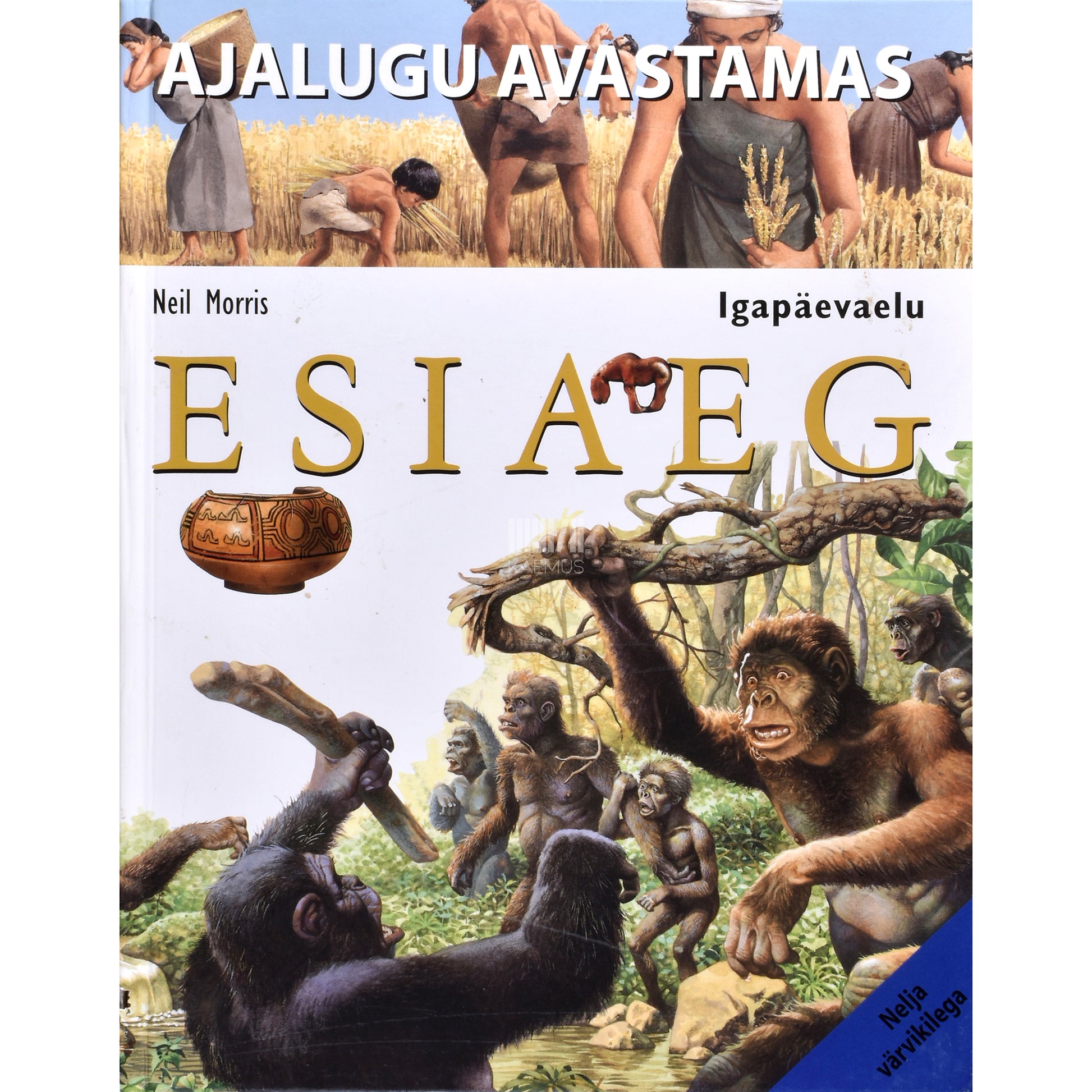 Neil Morris. Esiaeg. Igapäevaelu