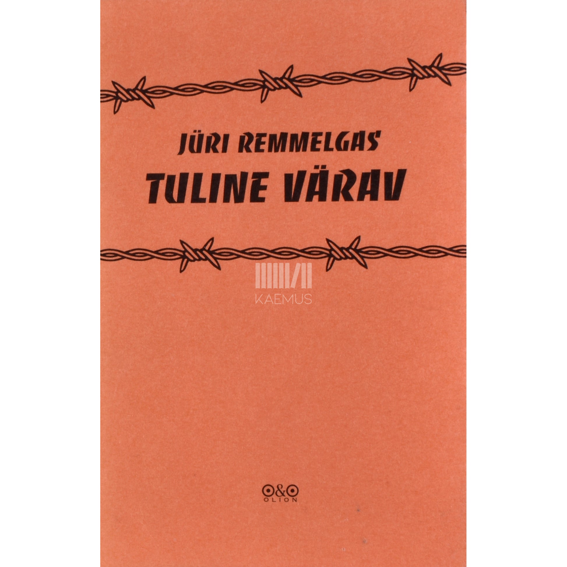 Jüri Remmelgas. Tuline värav. Sõjaraamat