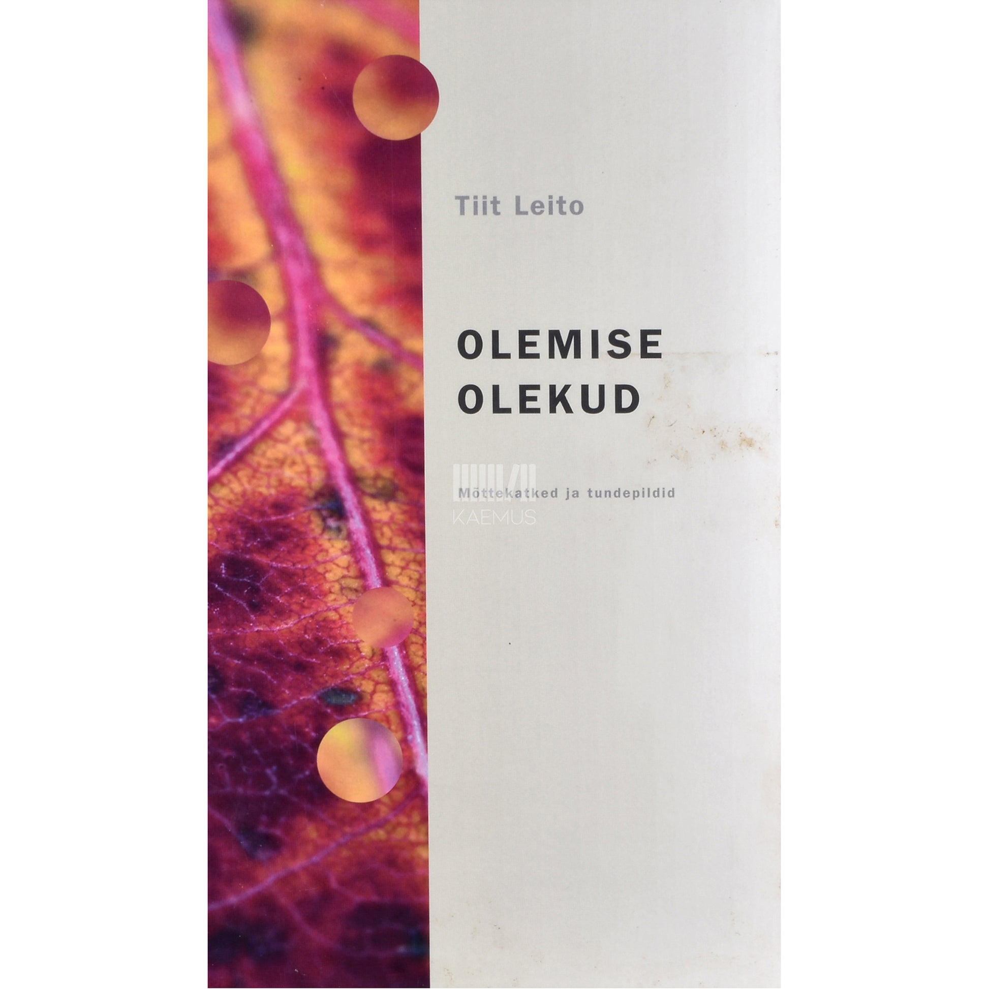Tiit Leito. Olemise olekud