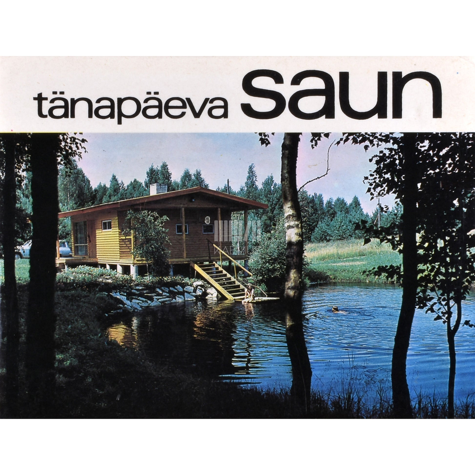Tänapäeva saun