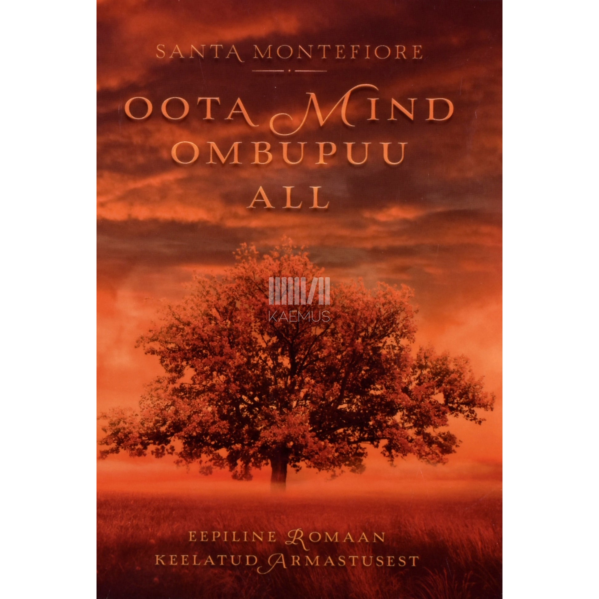 Santa Montefiore. Oota mind ombupuu all