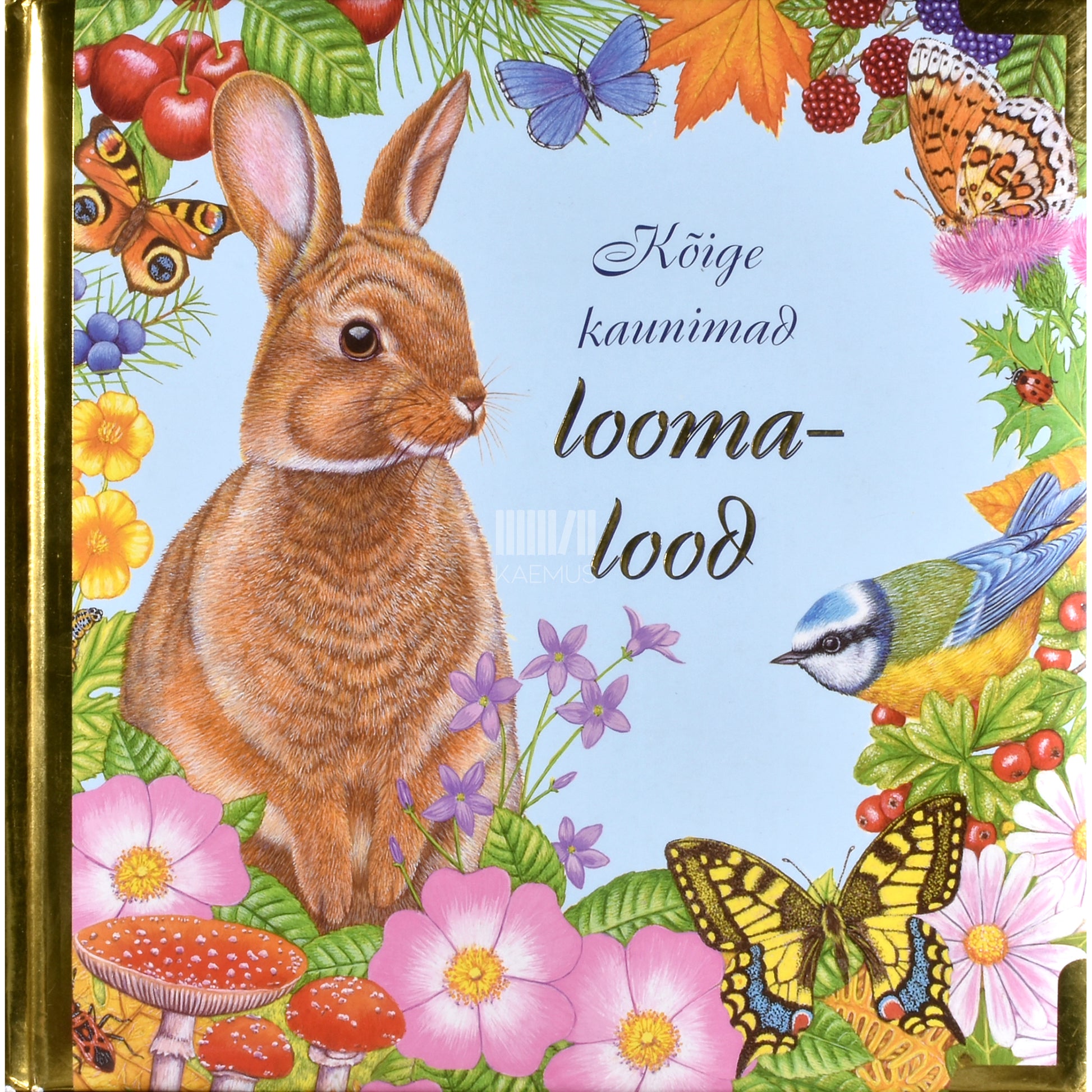 Kõige kaunimad loomalood