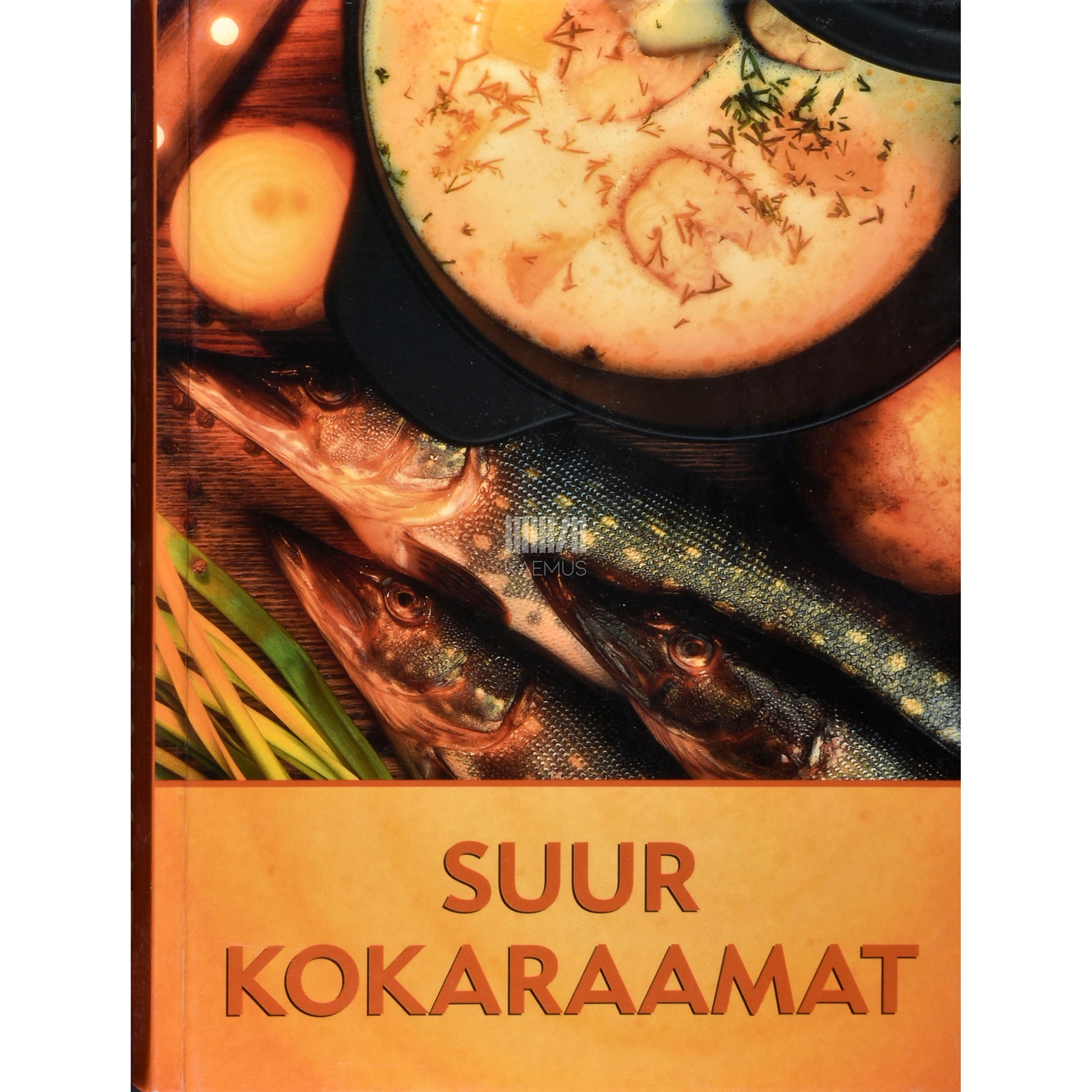 Suur kokaraamat