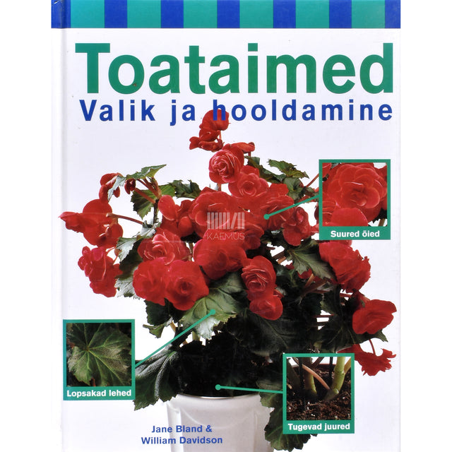 Jane Bland, William Davidson. Toataimed. Valik ja hooldamine