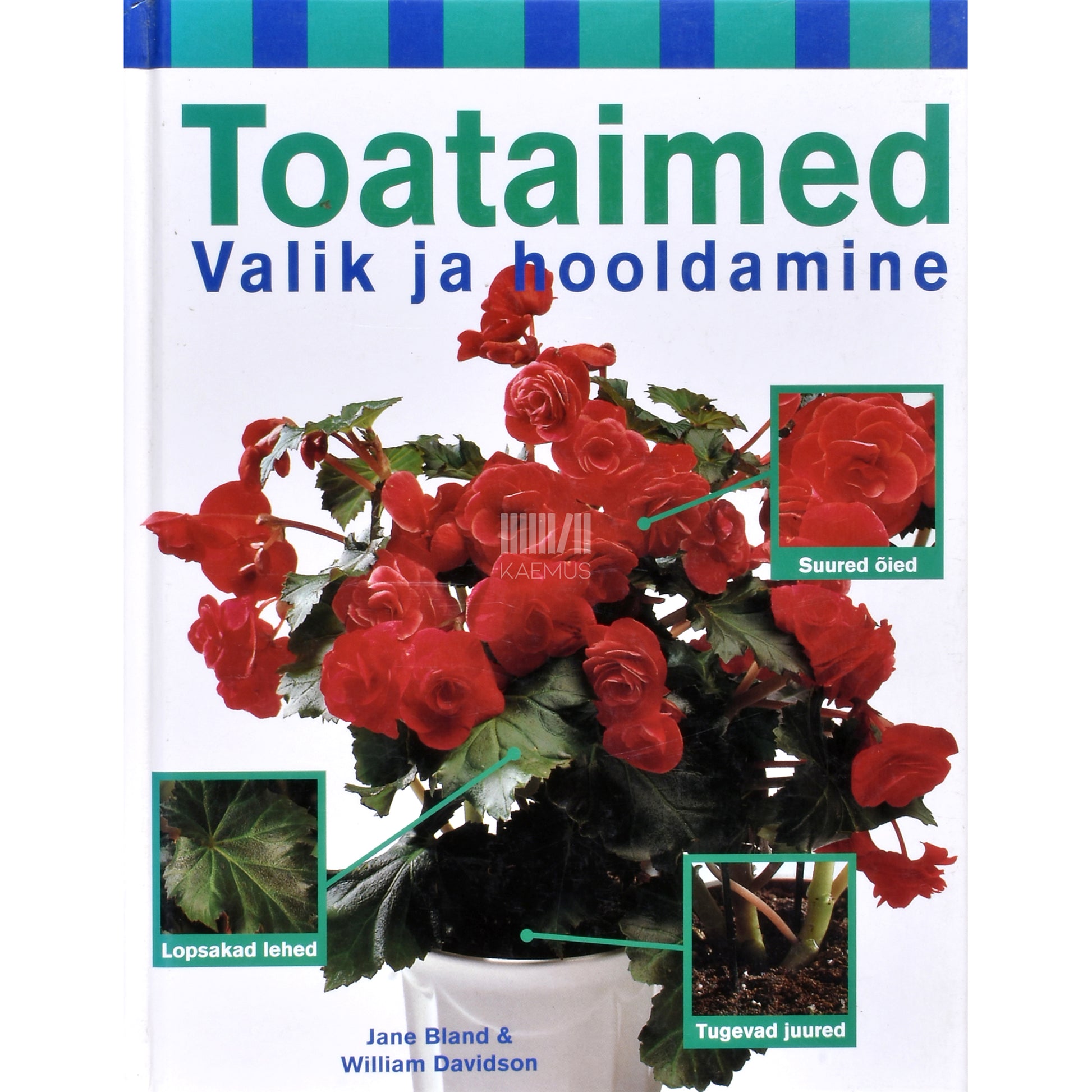 Jane Bland, William Davidson. Toataimed. Valik ja hooldamine