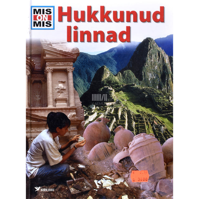 Rainer Crummenerl. Hukkunud linnad