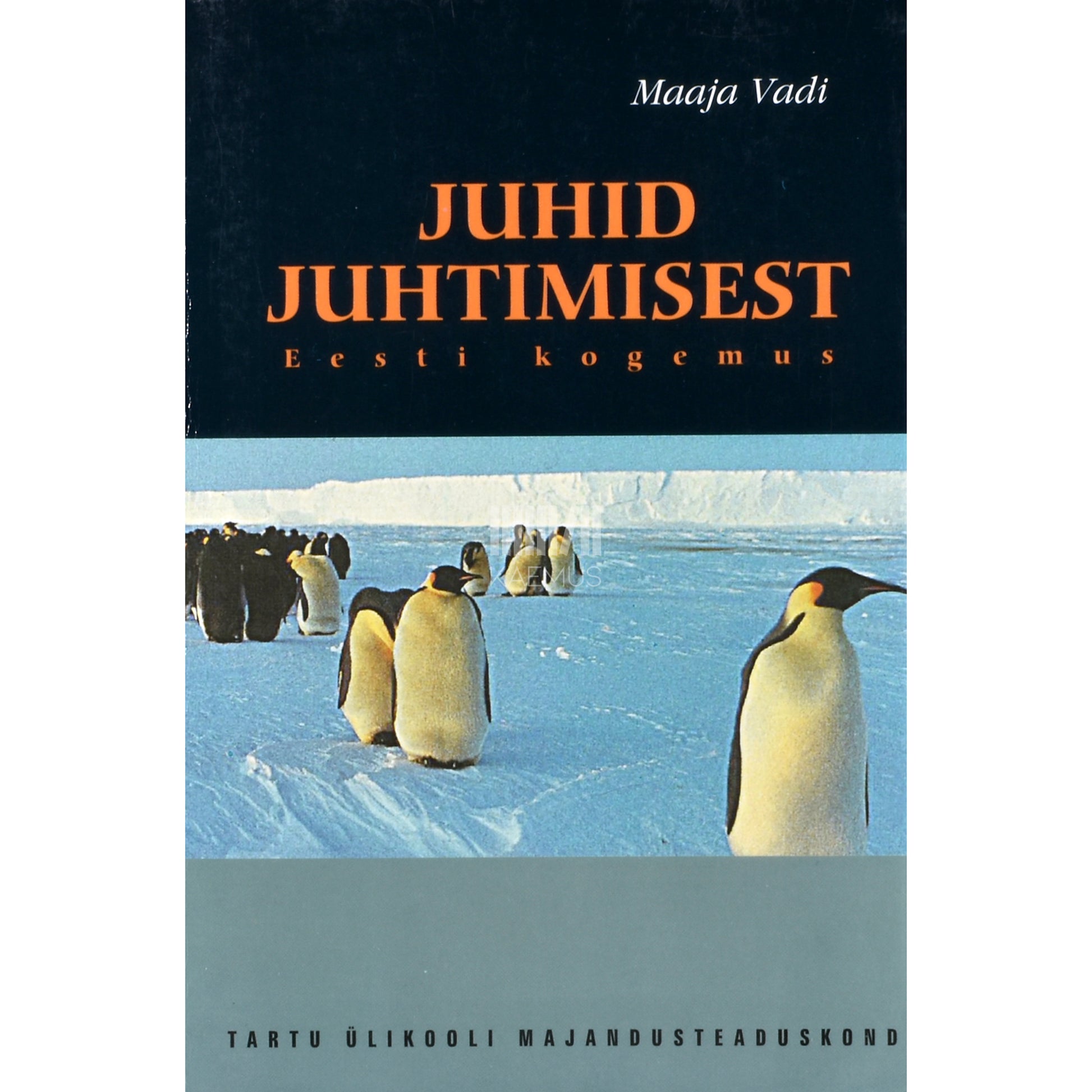Maaja Vadi. Juhid juhtimisest: Eesti kogemus