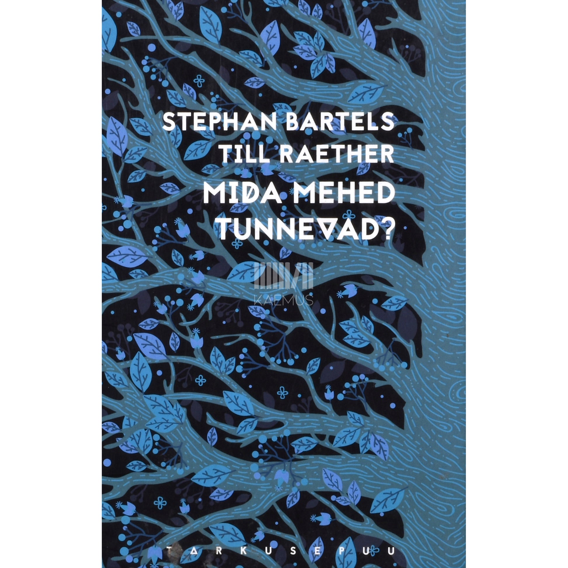 Stephen Bartels, Till Raether. Mida mehed tunnevad?