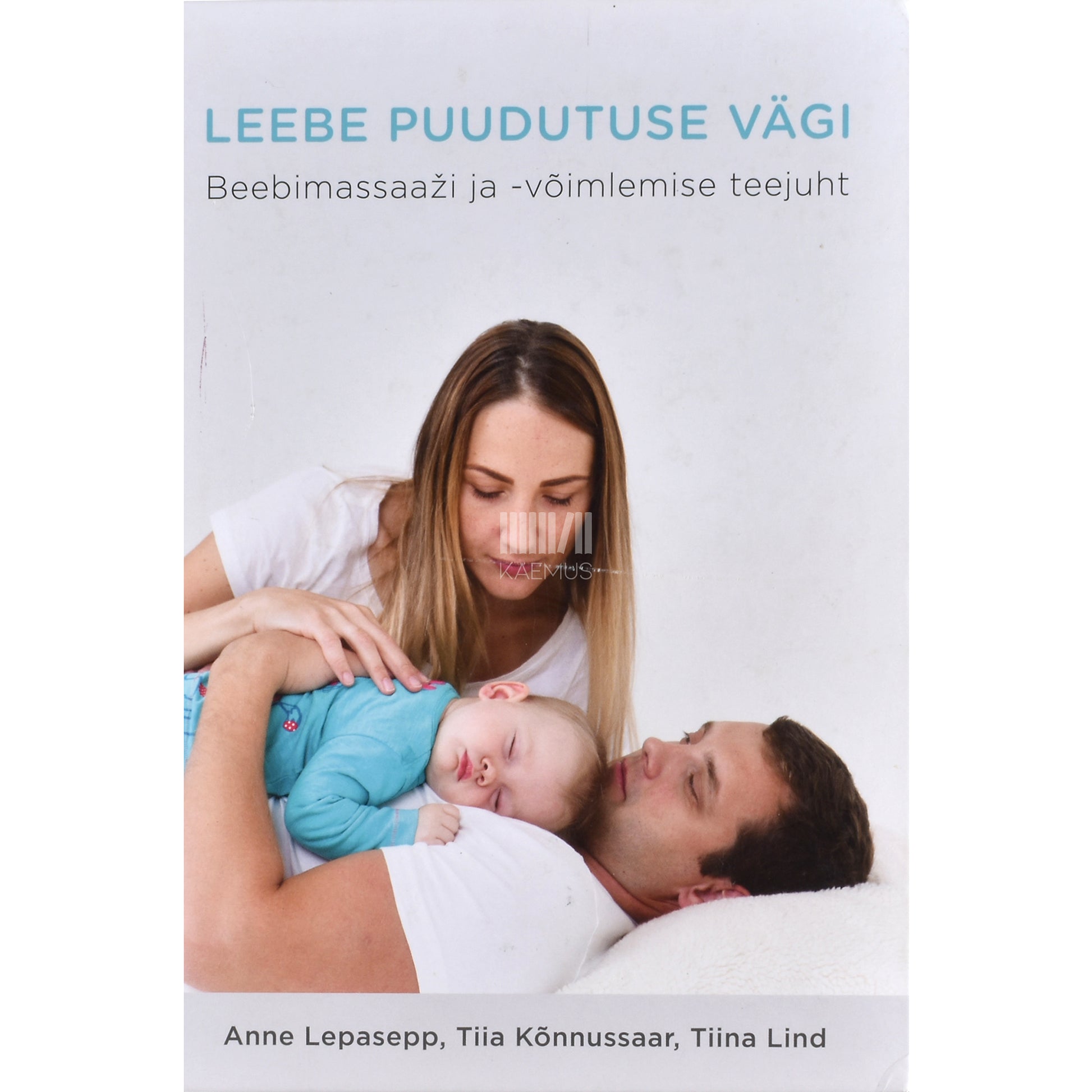 Anne Lepasepp. Leebe puudutuse vägi