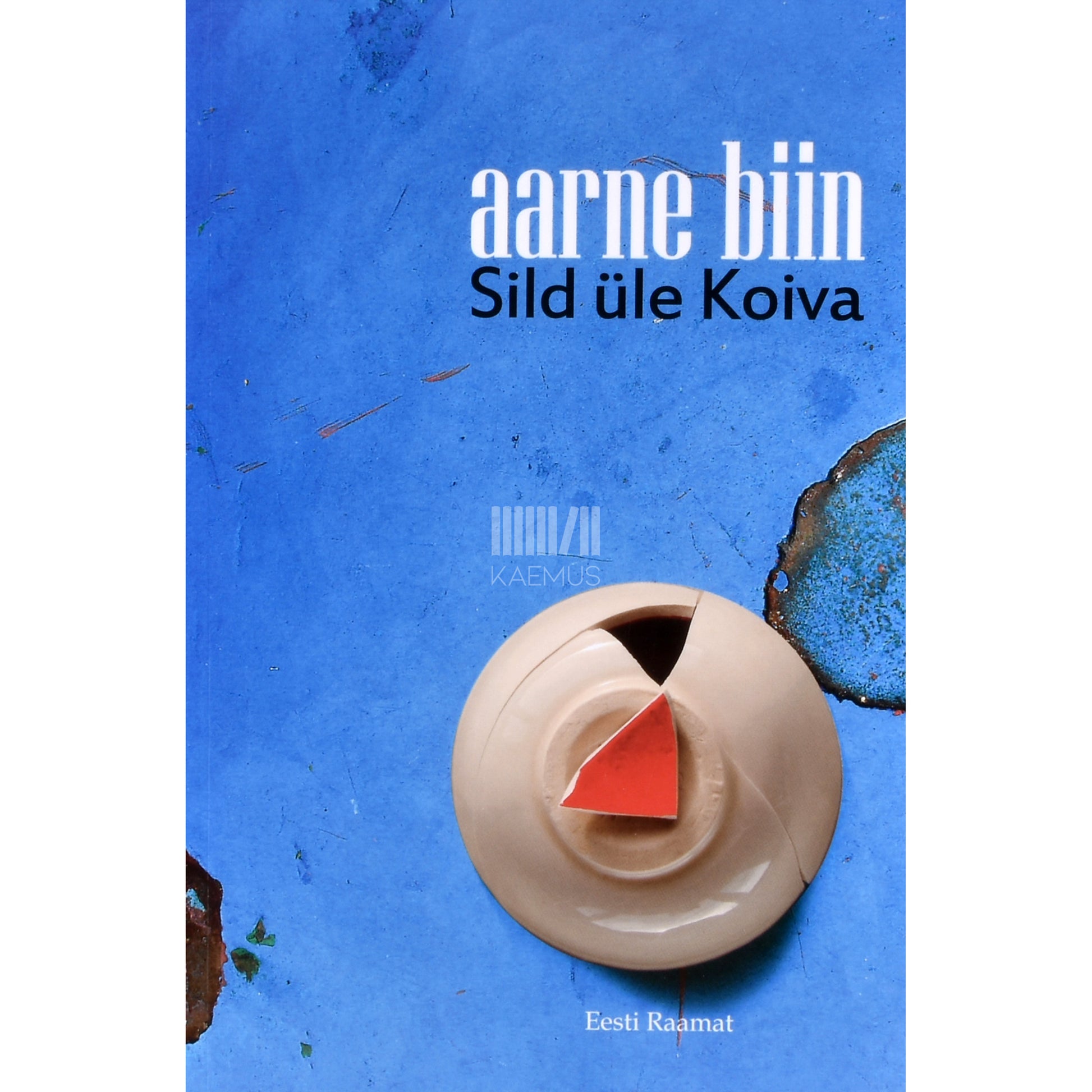 Aarne Biin. Sild üle Koiva