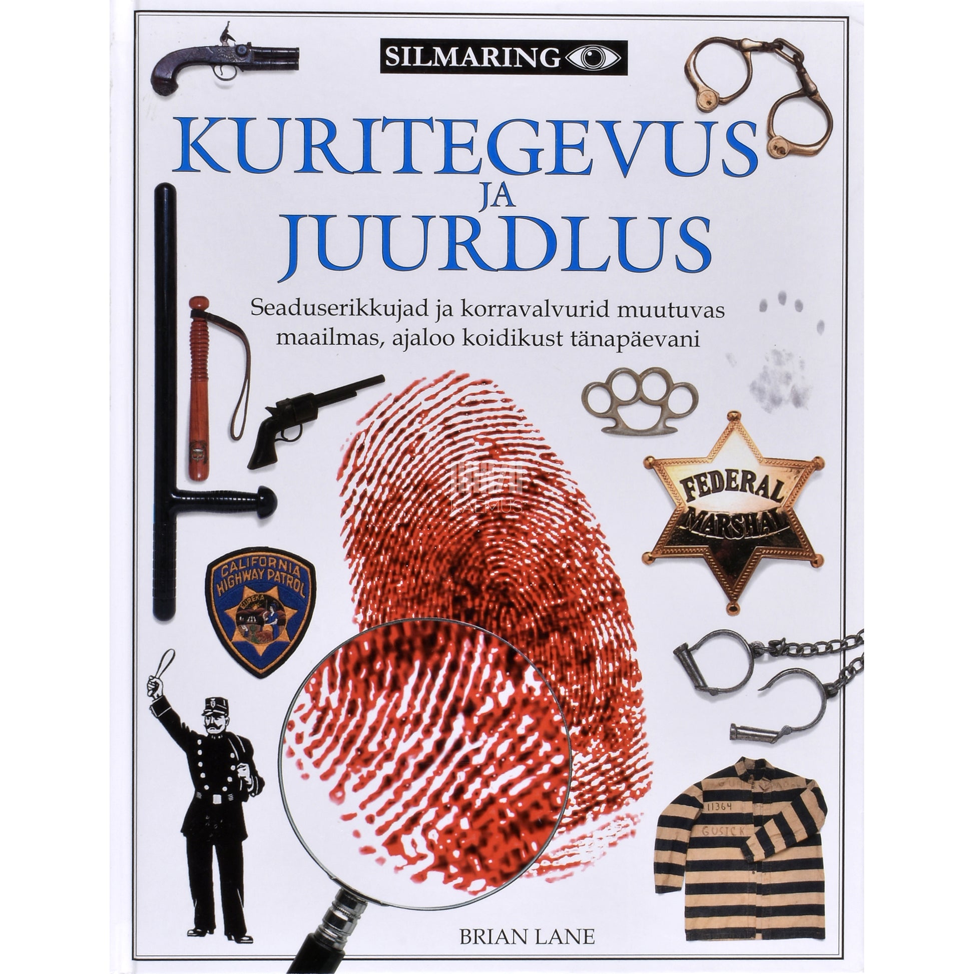 Brian Lane. Kuritegevus ja juurdlus