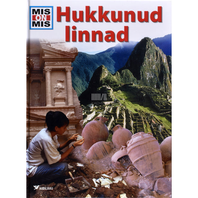 Rainer Crummenerl. Hukkunud linnad