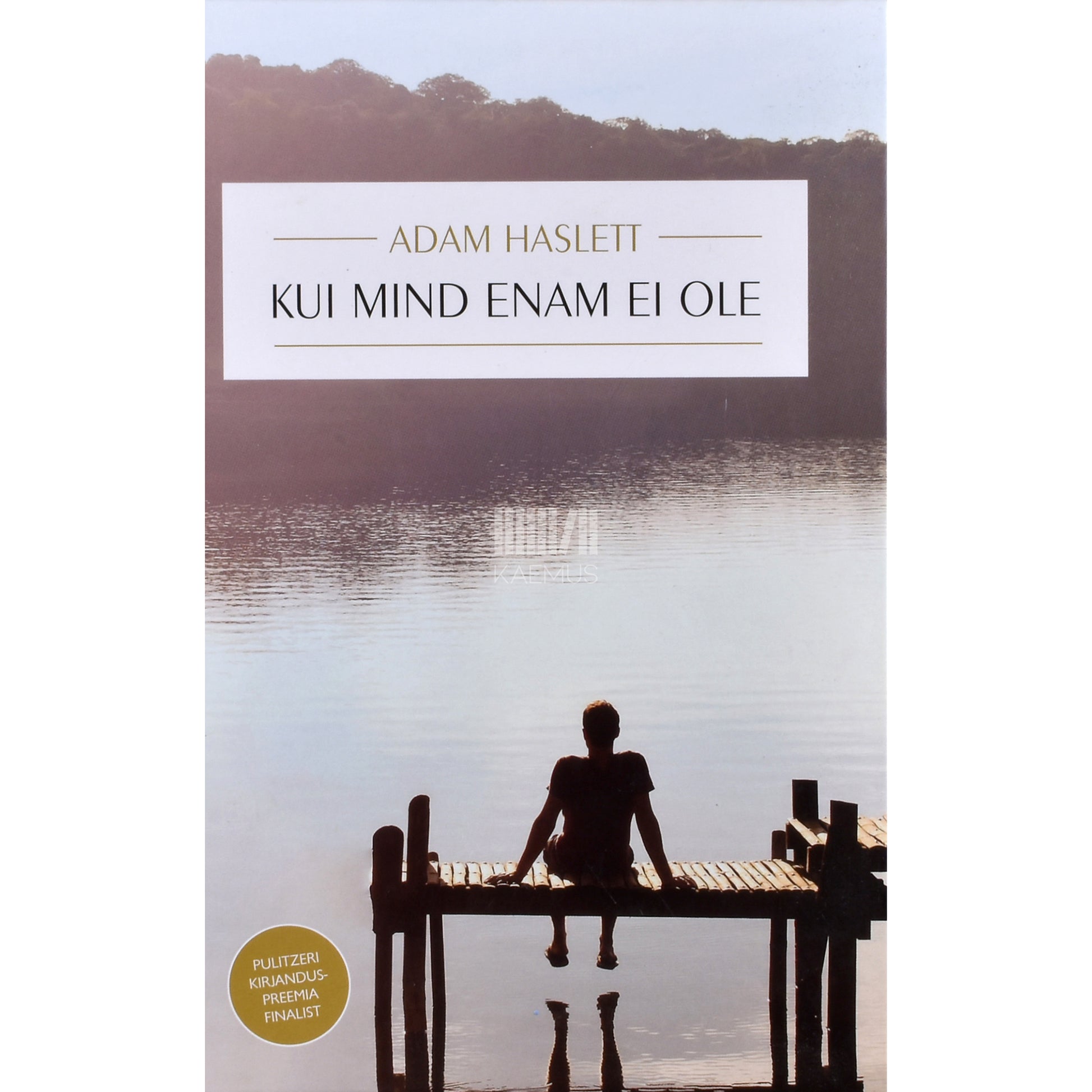 Adam Haslett. Kui mind enam ei ole