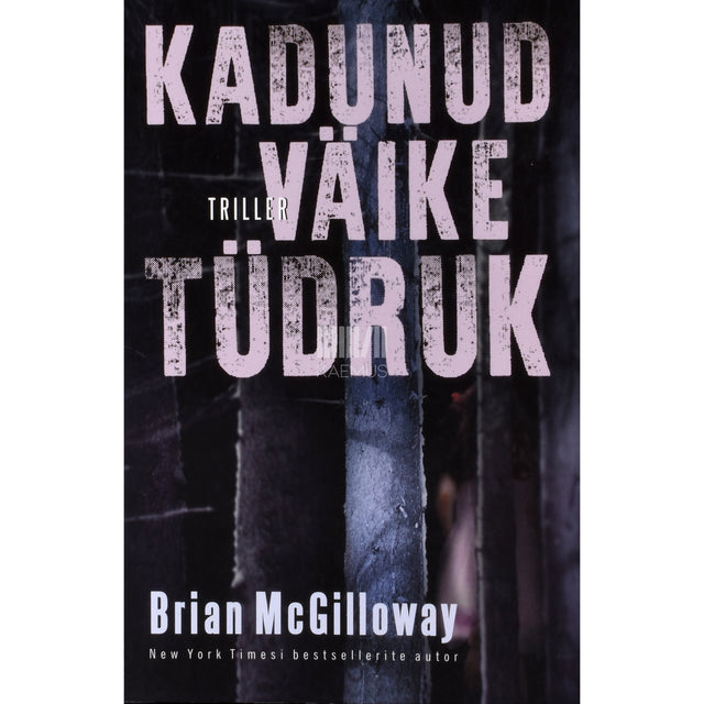 Brian McGilloway. Kadunud väike tüdruk