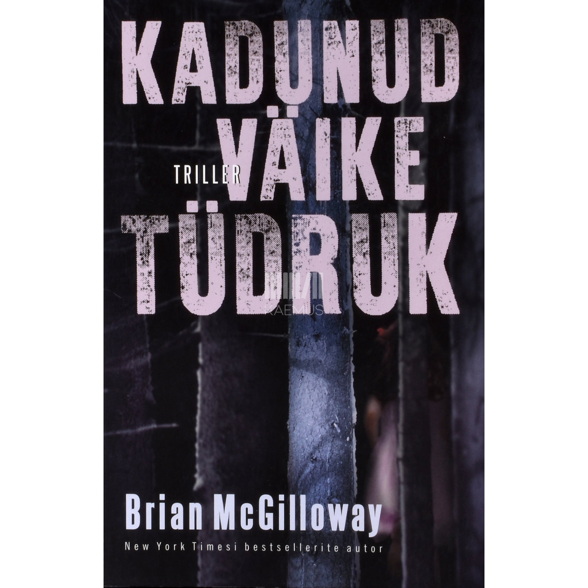 Brian McGilloway. Kadunud väike tüdruk