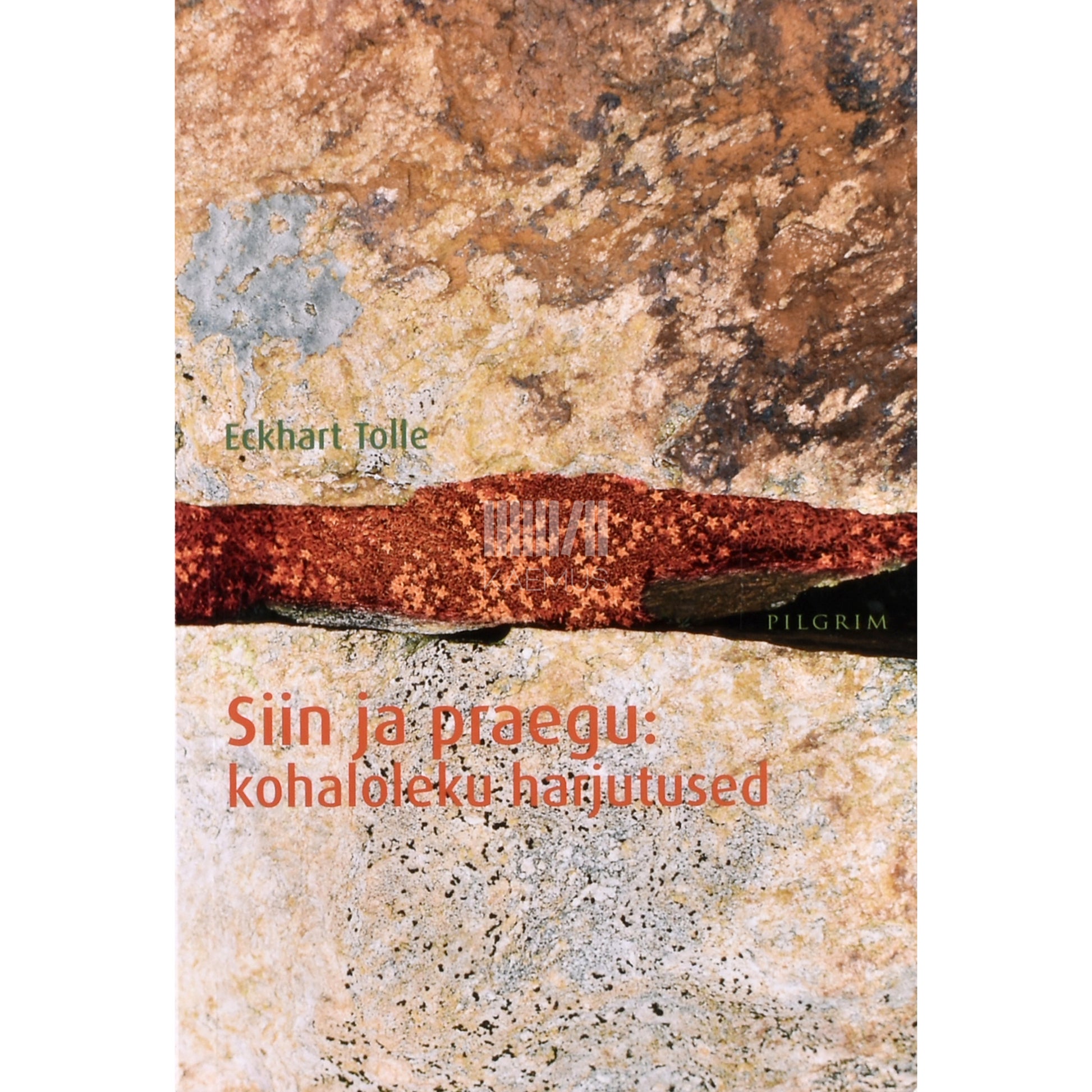 Eckhart Tolle. Siin ja praegu. Kohaloleku harjutused