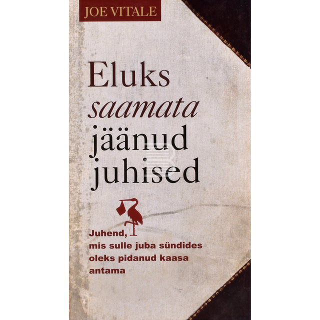Joe Vitale. Eluks saamata jäänud juhised