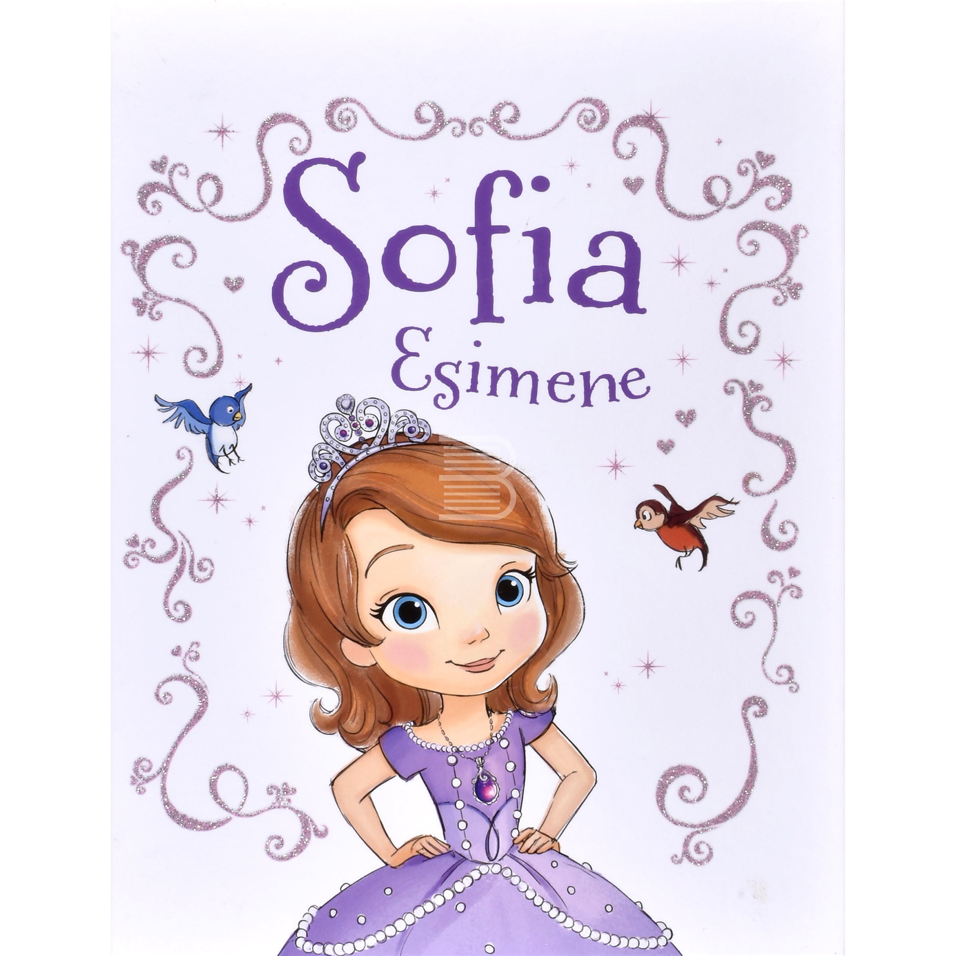Catherine Hapka. Sofia Esimene