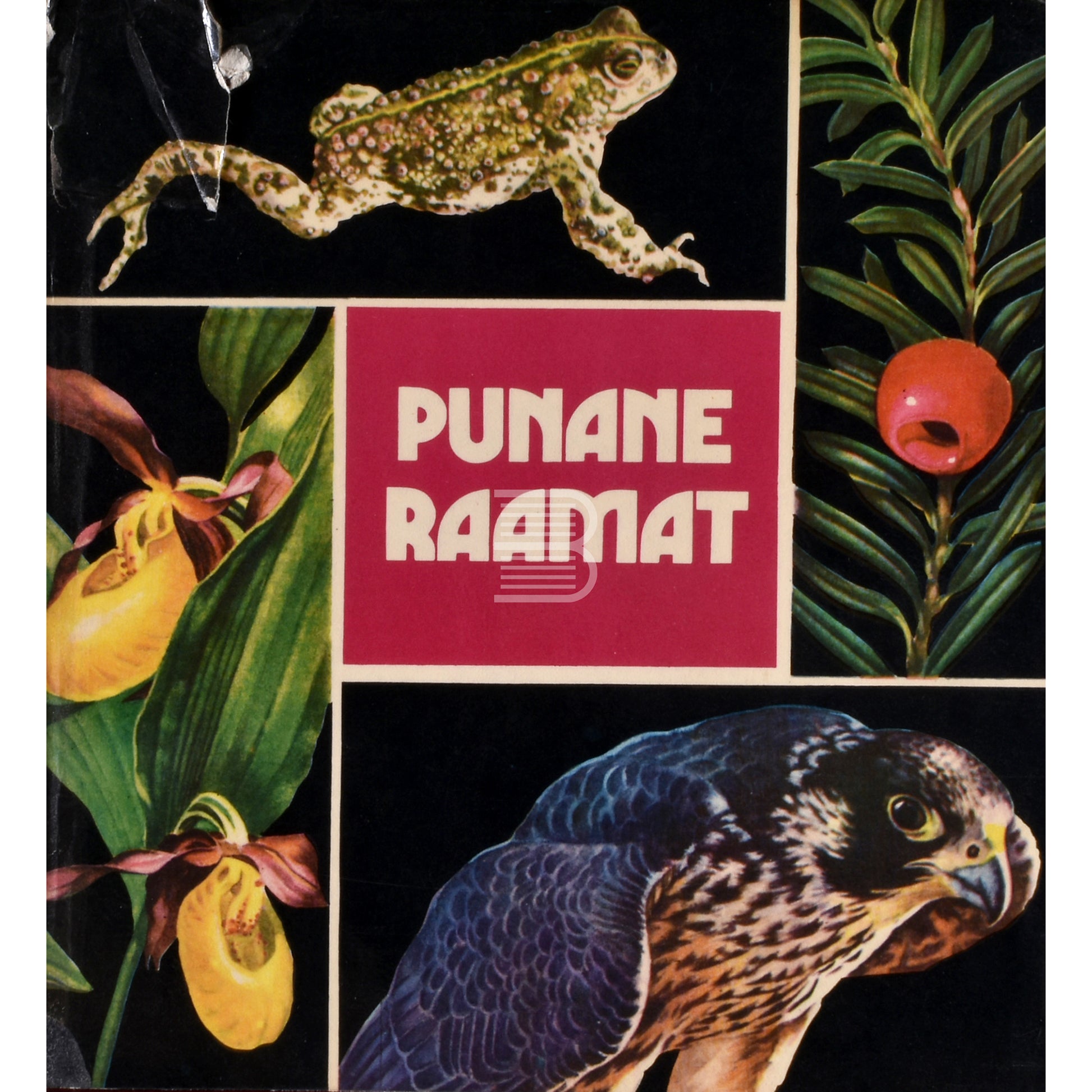 Punane raamat
